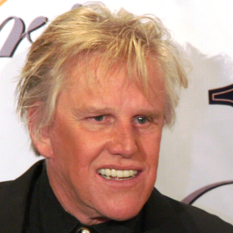 gary busey by Stacia gates for Metta Media Group