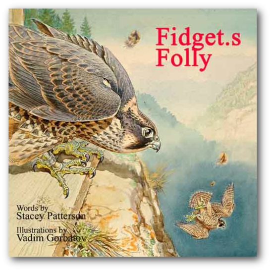 book fidgets folly cover