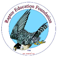 logo raptor educ foundation
